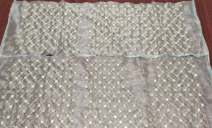 Light sea green sequence embroidery designer organza saree