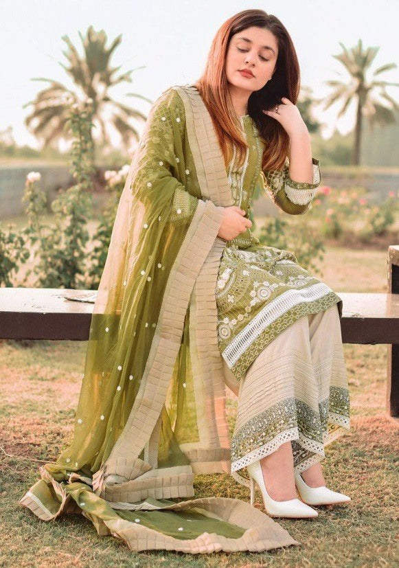 Mehendi green cotton plazzo suit