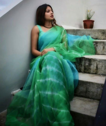 multicolor green heavy moss organza digital printed saree