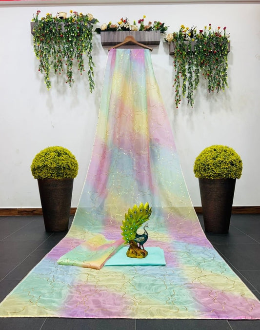Multicolor organza digital print and sequence work saree