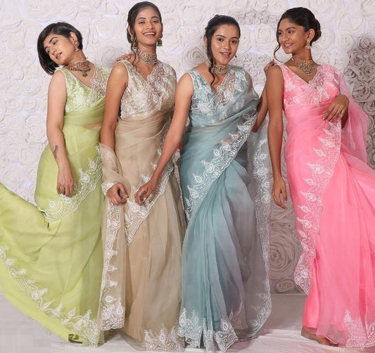 Multicolor organza embroidered saree