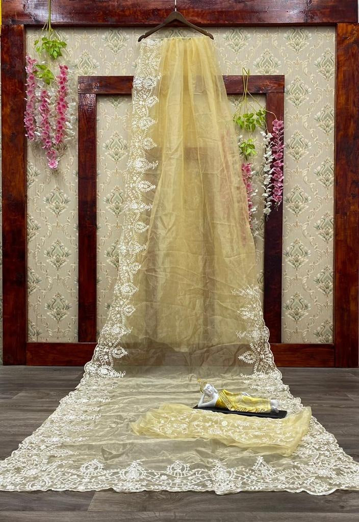 Multicolor organza embroidered saree