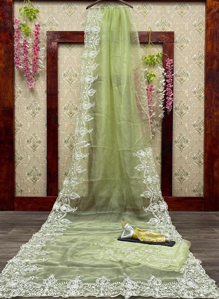 Multicolor organza embroidered saree