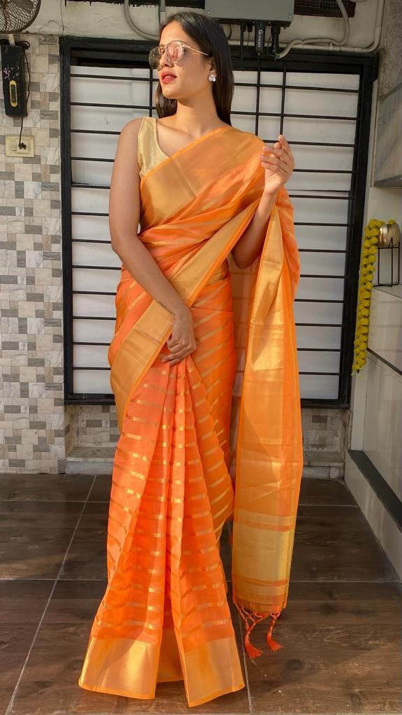 Orange organza saree