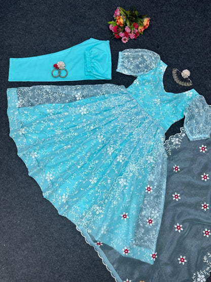 Organza heavy thread work anarkali suit