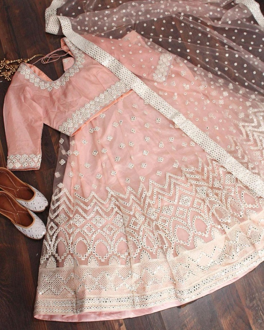 Peach net embroidered lehenga choli