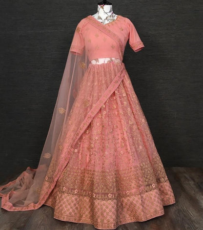 Peach net glitter zari embroidered border work lehenga choli