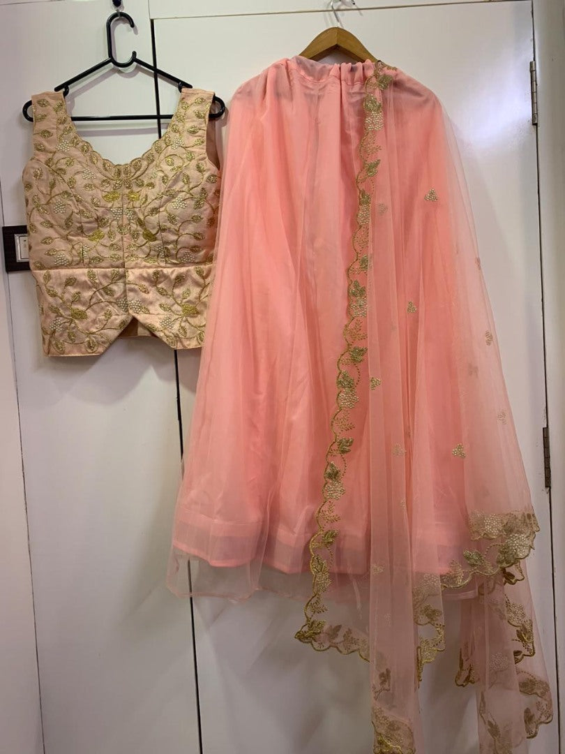 Peach net zari and thread embroidered lehenga choli