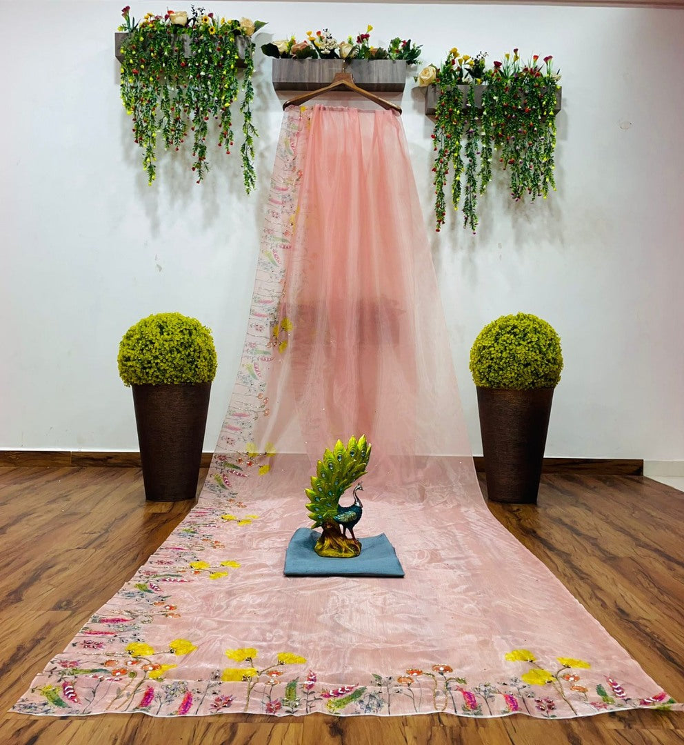 Peach organza print and hand worked saree