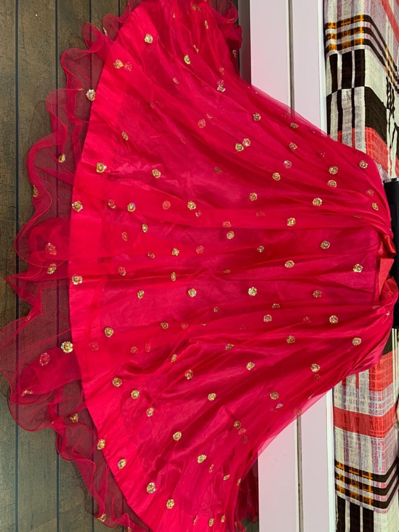 Pink net beautiful sequence worked lehenga choli