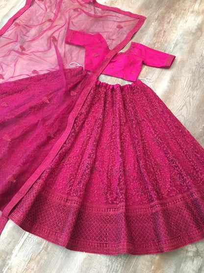 Pink net glitter zari embroidery work lehenga choli