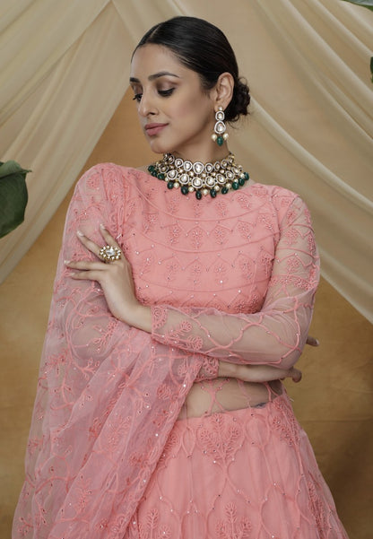 Pink santoon net embroidered lehenga gown