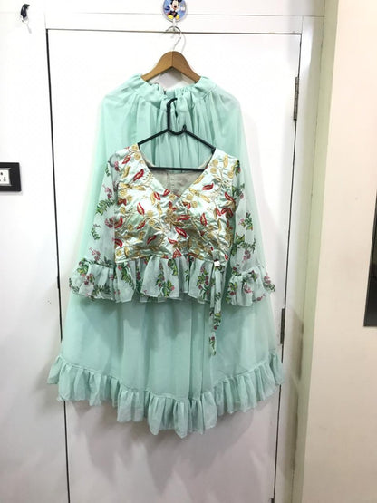 pista green beautiful croptop lehenga