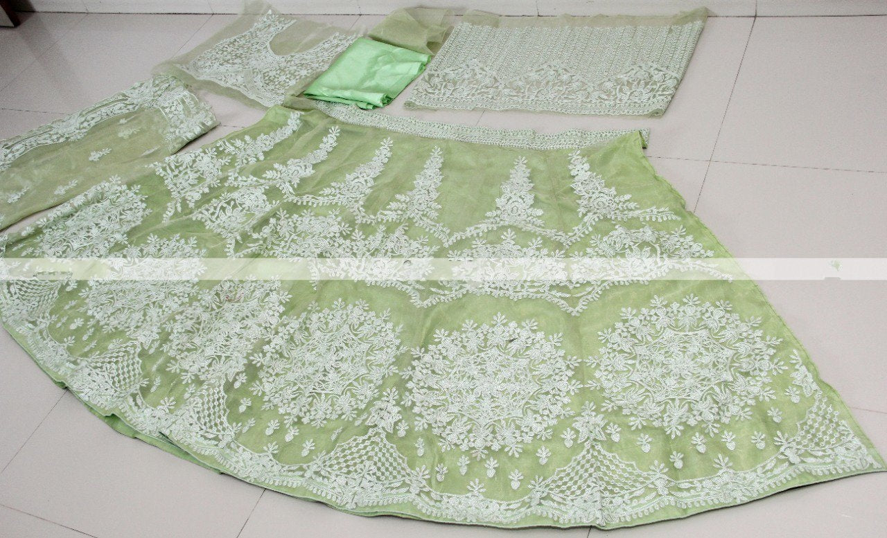 Pista green khadi organza silk chain stick jari work lehenga choli