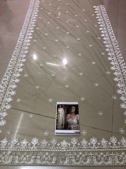 Pista green mono net designer embroidered saree