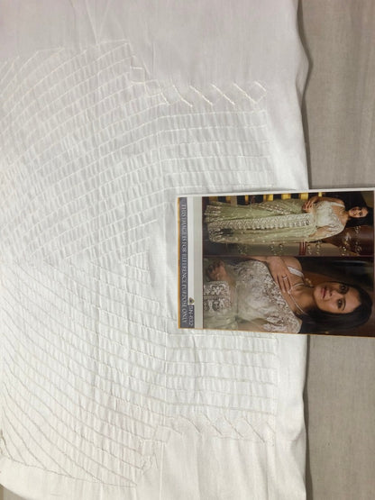 Pista green mono net designer embroidered saree