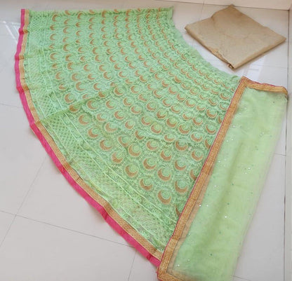 Pista green net chainstitch embroidered lehenga choli