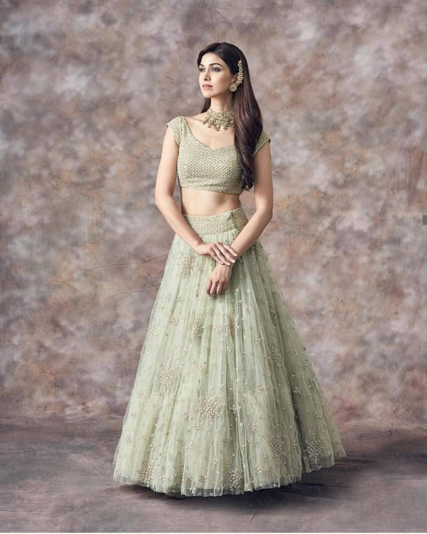 Pista green soft net beautiful worked lehenga choli for ceremony