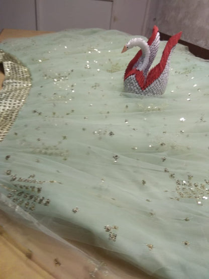 Pista green soft net beautiful worked lehenga choli for ceremony