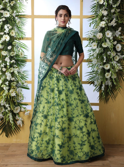 Pistagreen net embroidery work designer lehenga