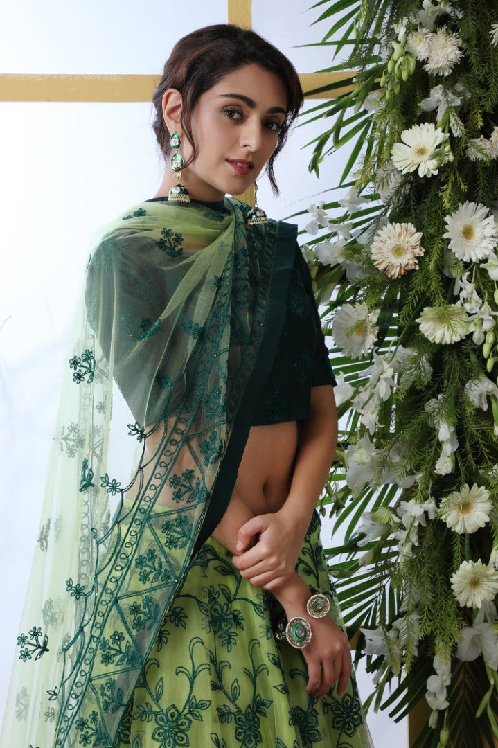 Pistagreen net embroidery work designer lehenga