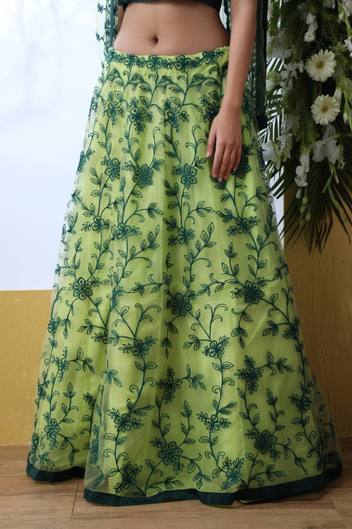 Pistagreen net embroidery work designer lehenga