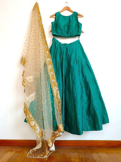 Rama blue plain partywear lehengha choli