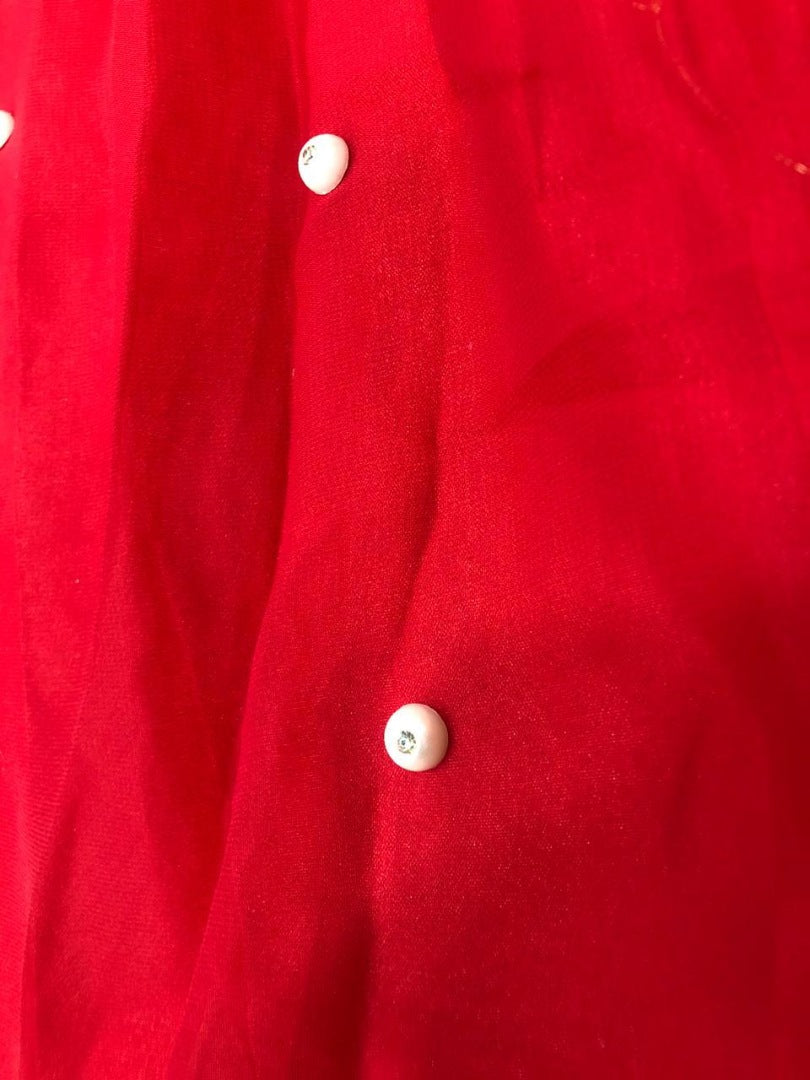 Red georgette dimond embellish gown