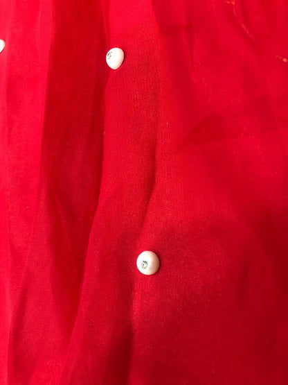 Red georgette dimond embellish gown