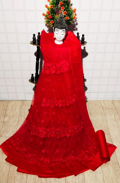 Red mono net heavy embroidered partywear saree