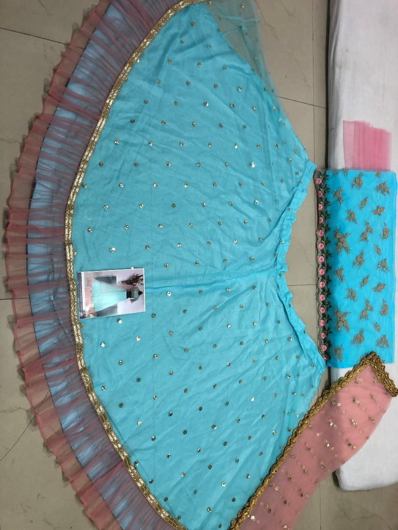 Sky blue mono net embroidered ceremonial lehenga choli