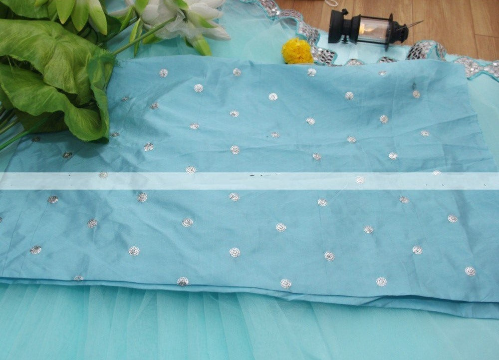 Sky blue mono net paper mirror work saree