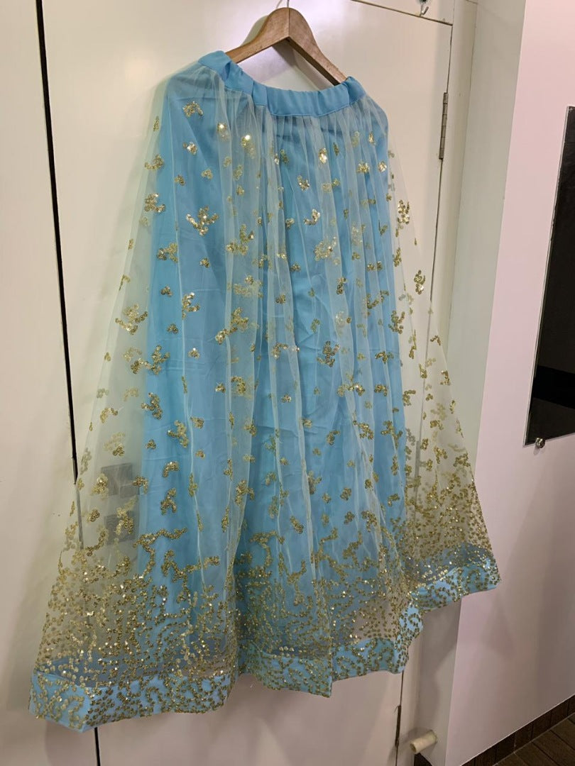 Sky blue net sequence worked lehenga choli