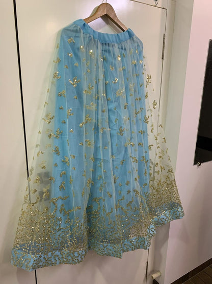 Sky blue net sequence worked lehenga choli