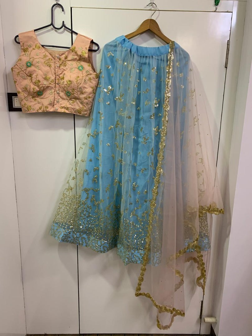 Sky blue net sequence worked lehenga choli