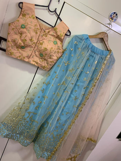 Sky blue net sequence worked lehenga choli
