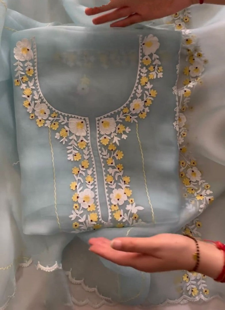 Sky blue organza chain stitch work pant suit
