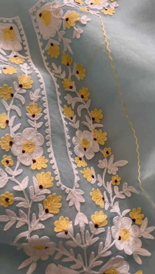 Sky blue organza chain stitch work pant suit