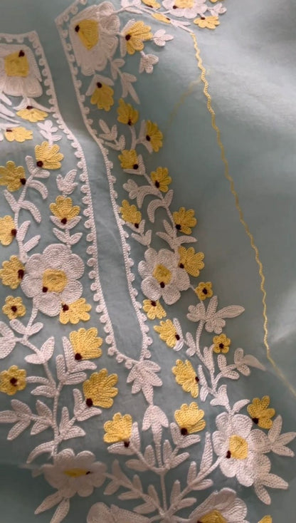 Sky blue organza chain stitch work pant suit