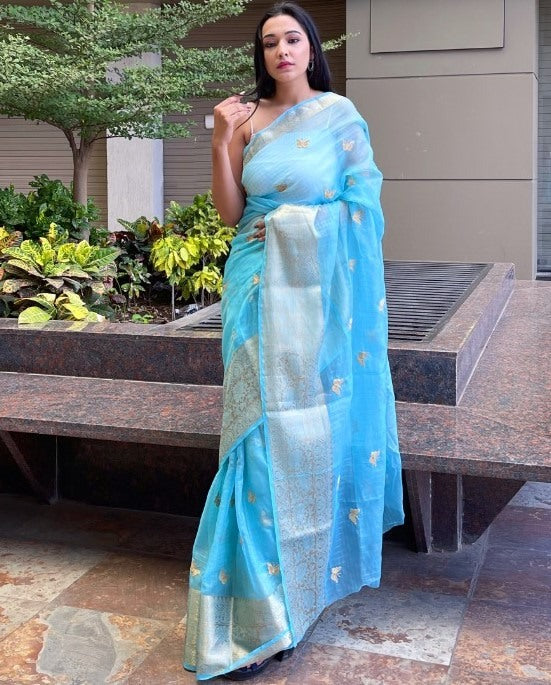 Sky blue organza sequence embroidered designer party wear saree