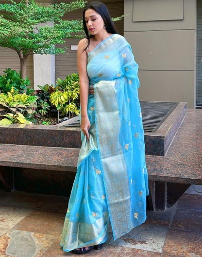 Sky blue organza sequence embroidered designer party wear saree
