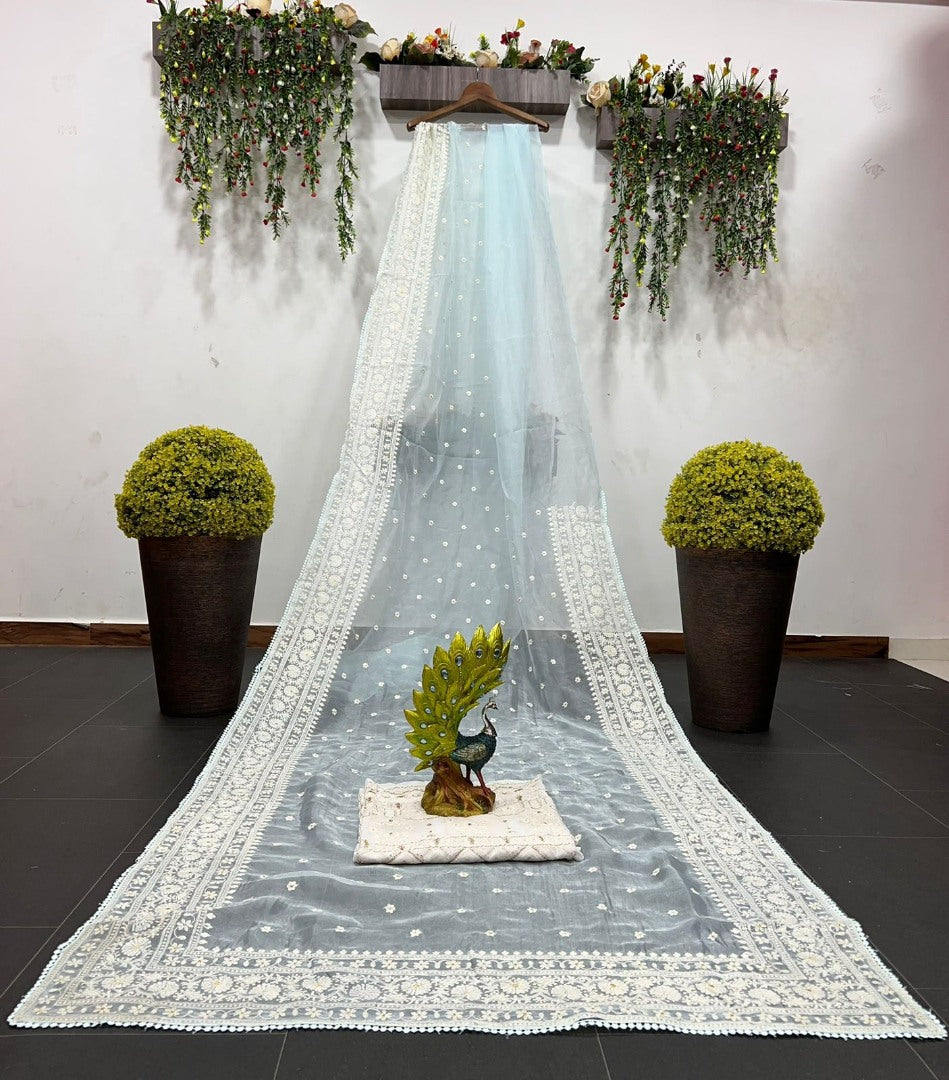 Sky blue organza silk heavy thread embroidery work saree for ceremony
