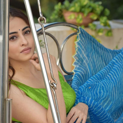 Sky blue organza silk printed and handworked saree