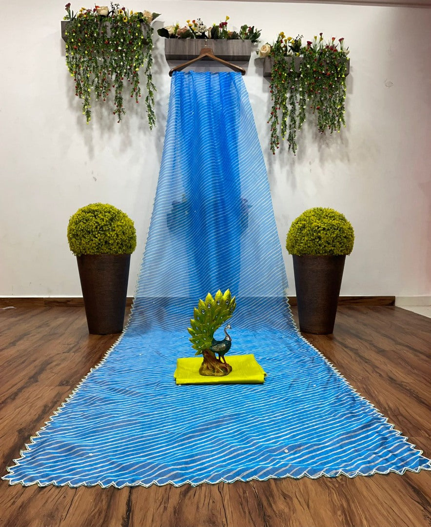 Sky blue organza silk printed and handworked saree
