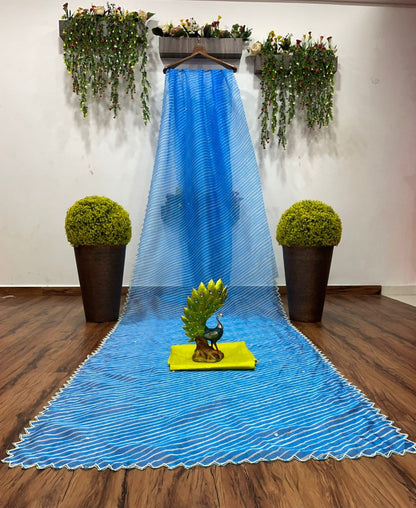 Sky blue organza silk printed and handworked saree