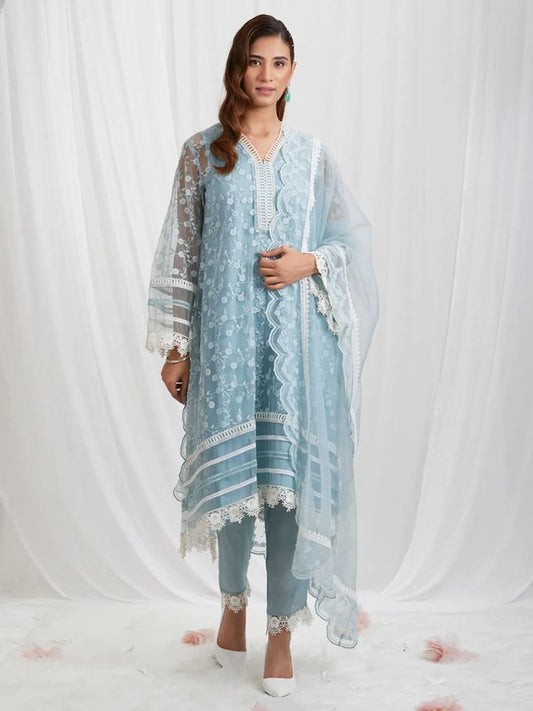 Sky blue organza thread embroidered pant suit