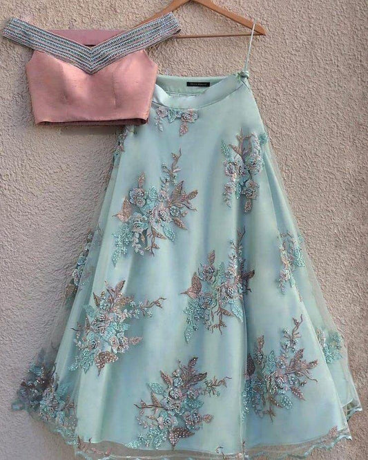 Sky blue orgenza net embroidered decent Beautiful lehenga choli
