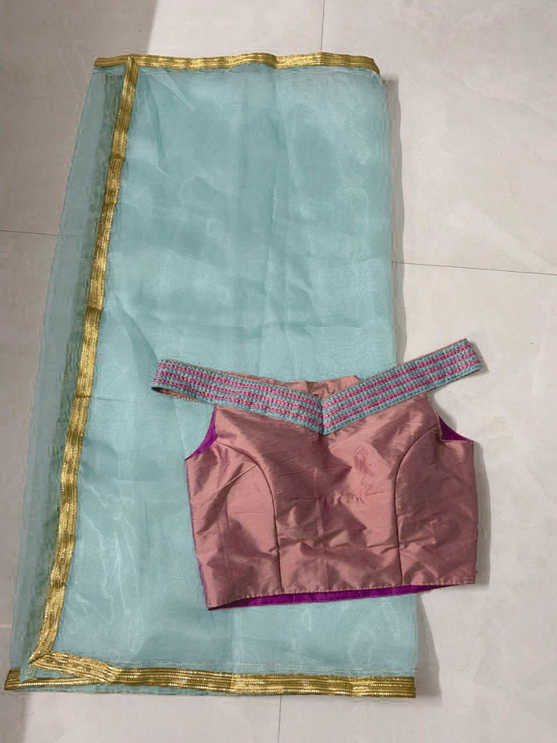 Sky blue orgenza net embroidered decent Beautiful lehenga choli