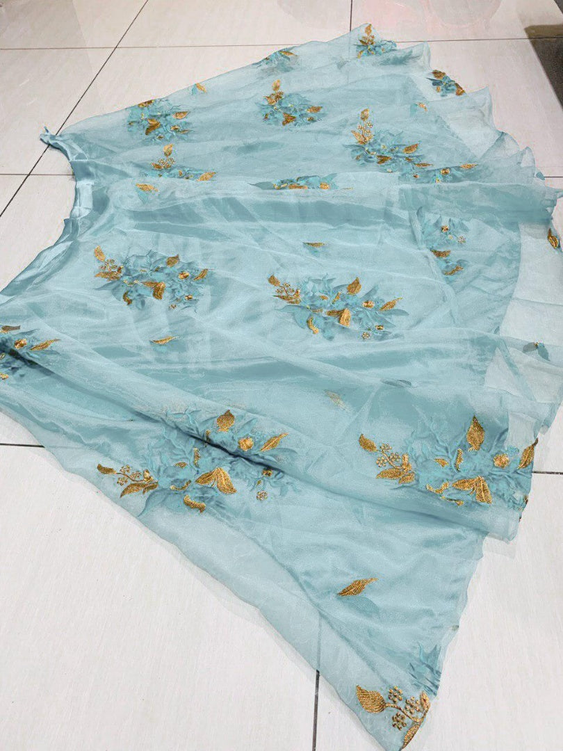 Sky blue orgenza net embroidered decent Beautiful lehenga choli