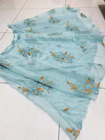 Sky blue orgenza net embroidered decent Beautiful lehenga choli